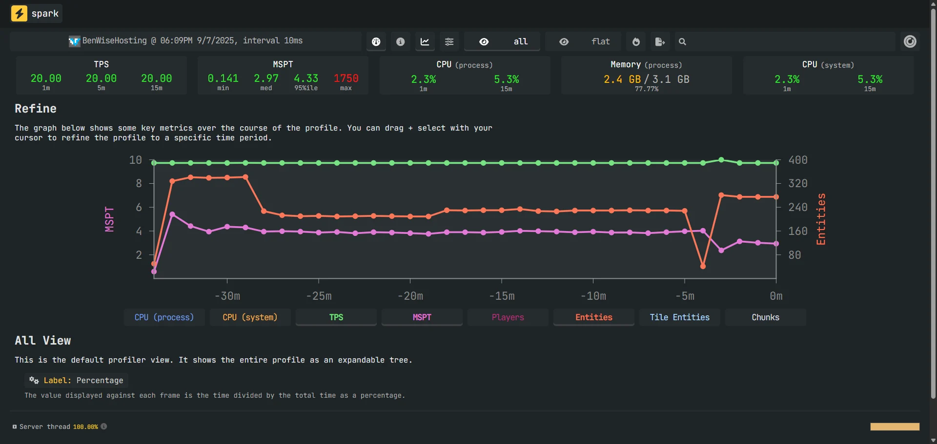 Minecraft Timings Statistics